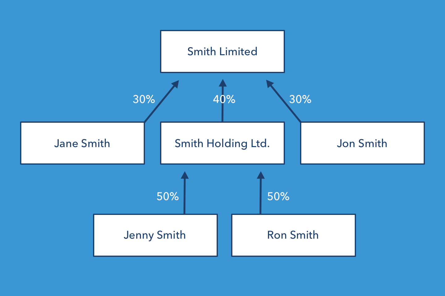 KYC Shareholder Structure Example